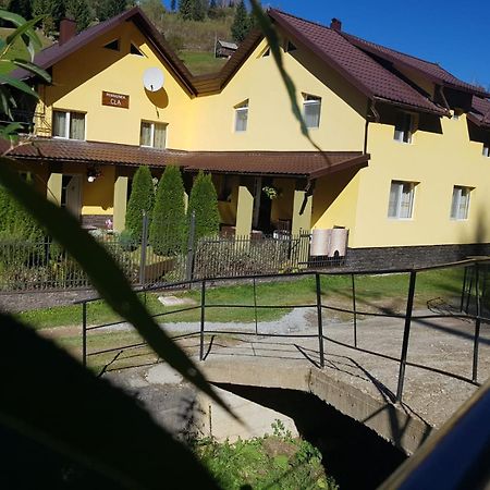 Pensiunea Cla Albac Exterior photo